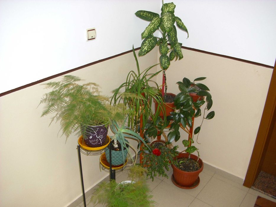 AGFA PHOTO DC - 1033M   10MPx