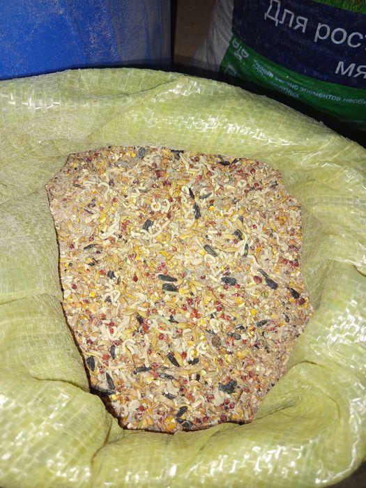 Yem mahsulotlari kunjara 5200 söm 1 sört