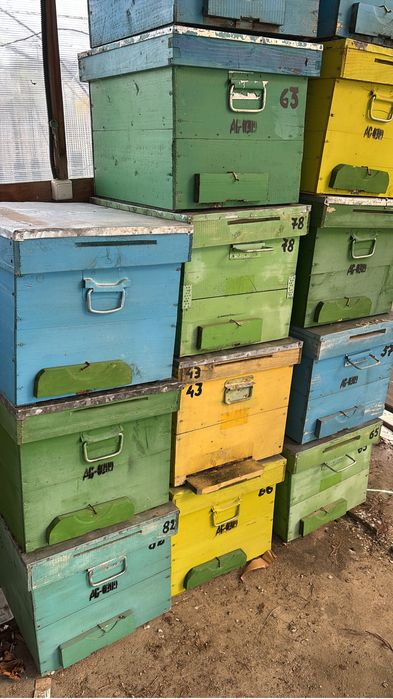 Vand cuti stupi albine