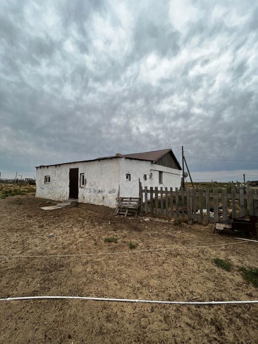 сельское хозяйство ауыл шаруашылығы