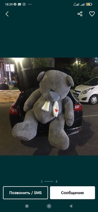 Teddi Teddy ayiqchalar (50sm 3m)