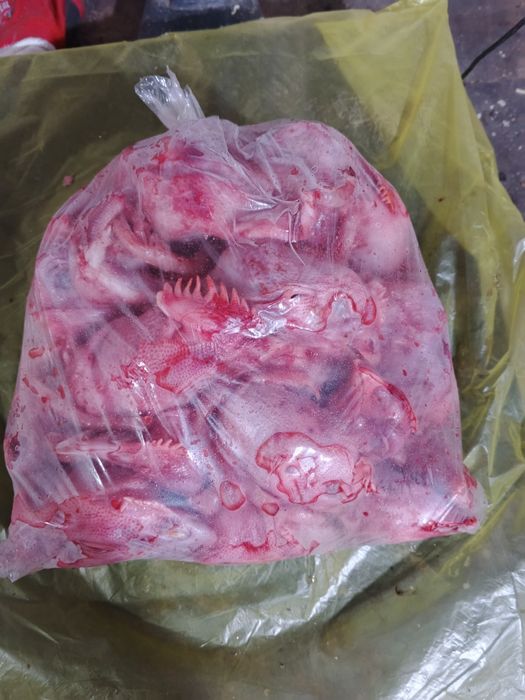 Головы кур еда для собак корм для собак мясо для собак