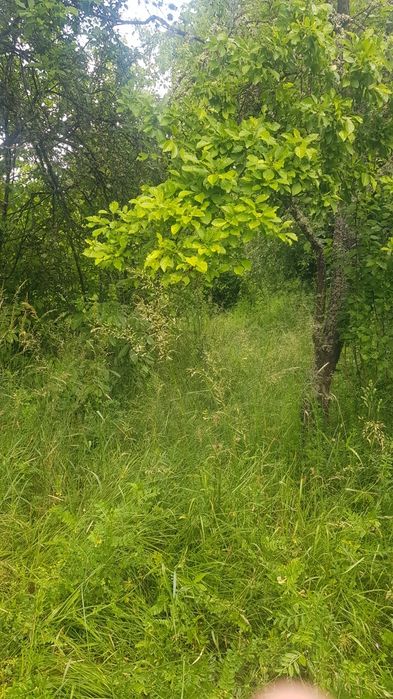 Продава се Къща в с. Касилаг, Област Перник - 55 кв.м за 510 €/кв.м - Снимка #4