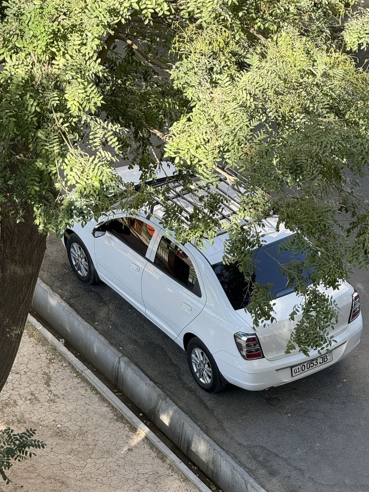 Cobalt LTZ oq rangda