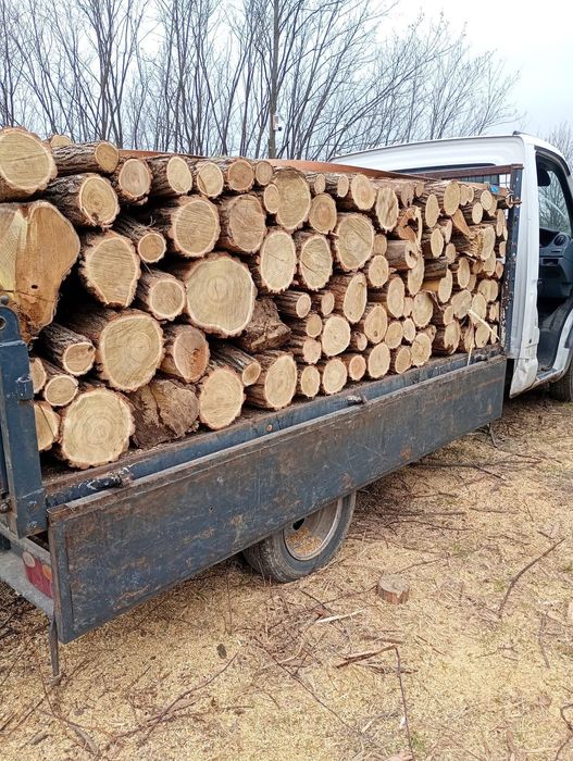 Vând lemn de Salcâm și Carpen