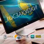 Тендерное сопровождение поставщиков + юридическая помощь. Госзакупки