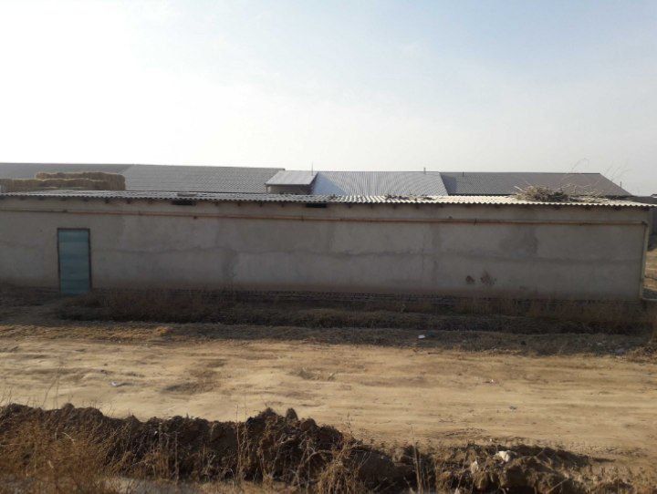 Gaybu kollejni yoninda 600kv joy orni