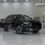 BYD Champion 2025 Restyling