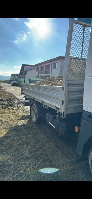 Inchiriez miniexcavator 3,5 tone, basculanta 6,5 tone.
Pentr