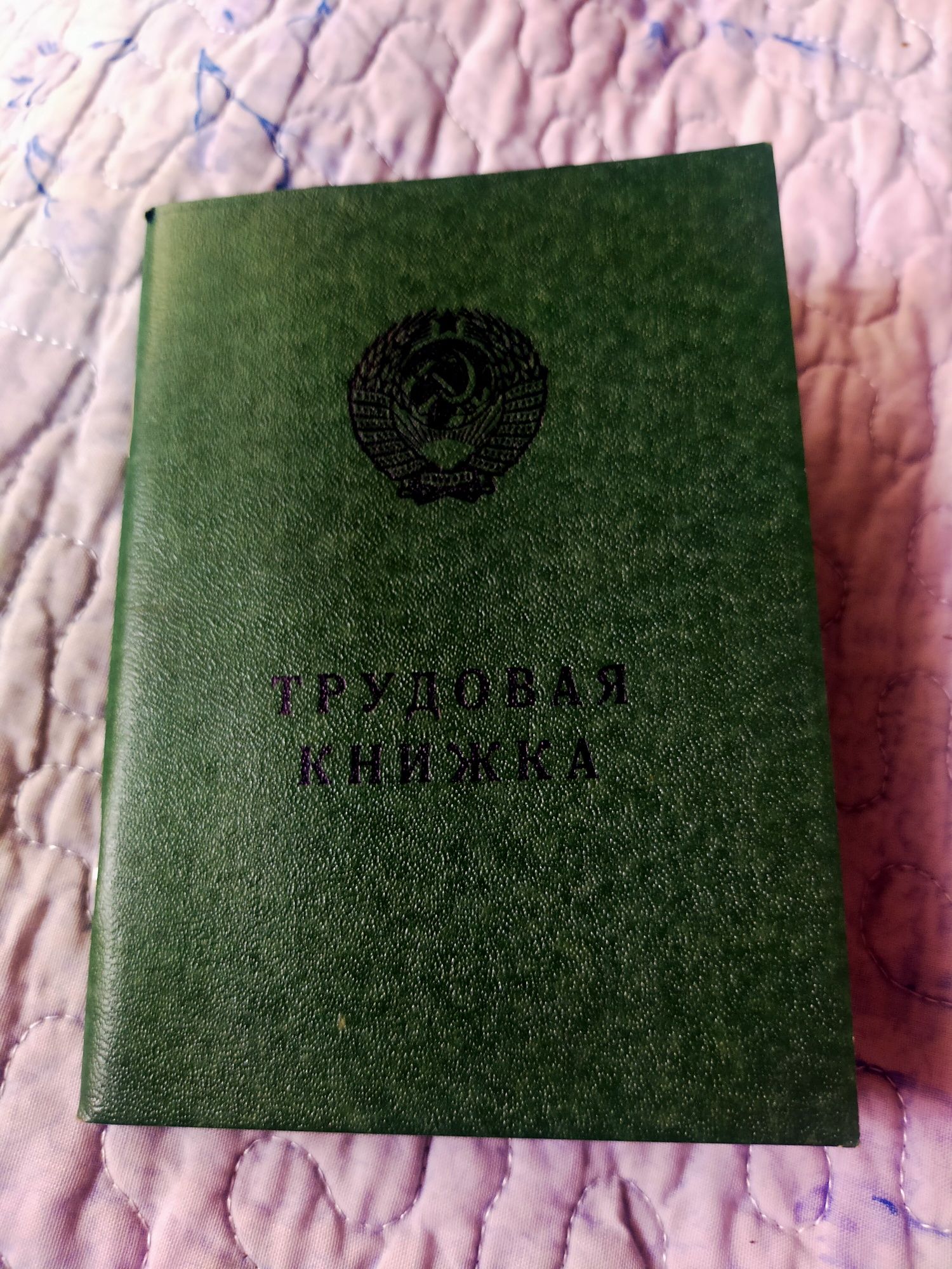 *Трудовая книжка.*