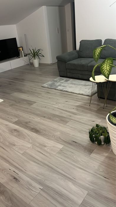 Apartament Valea lupului str aleea cu ciresi