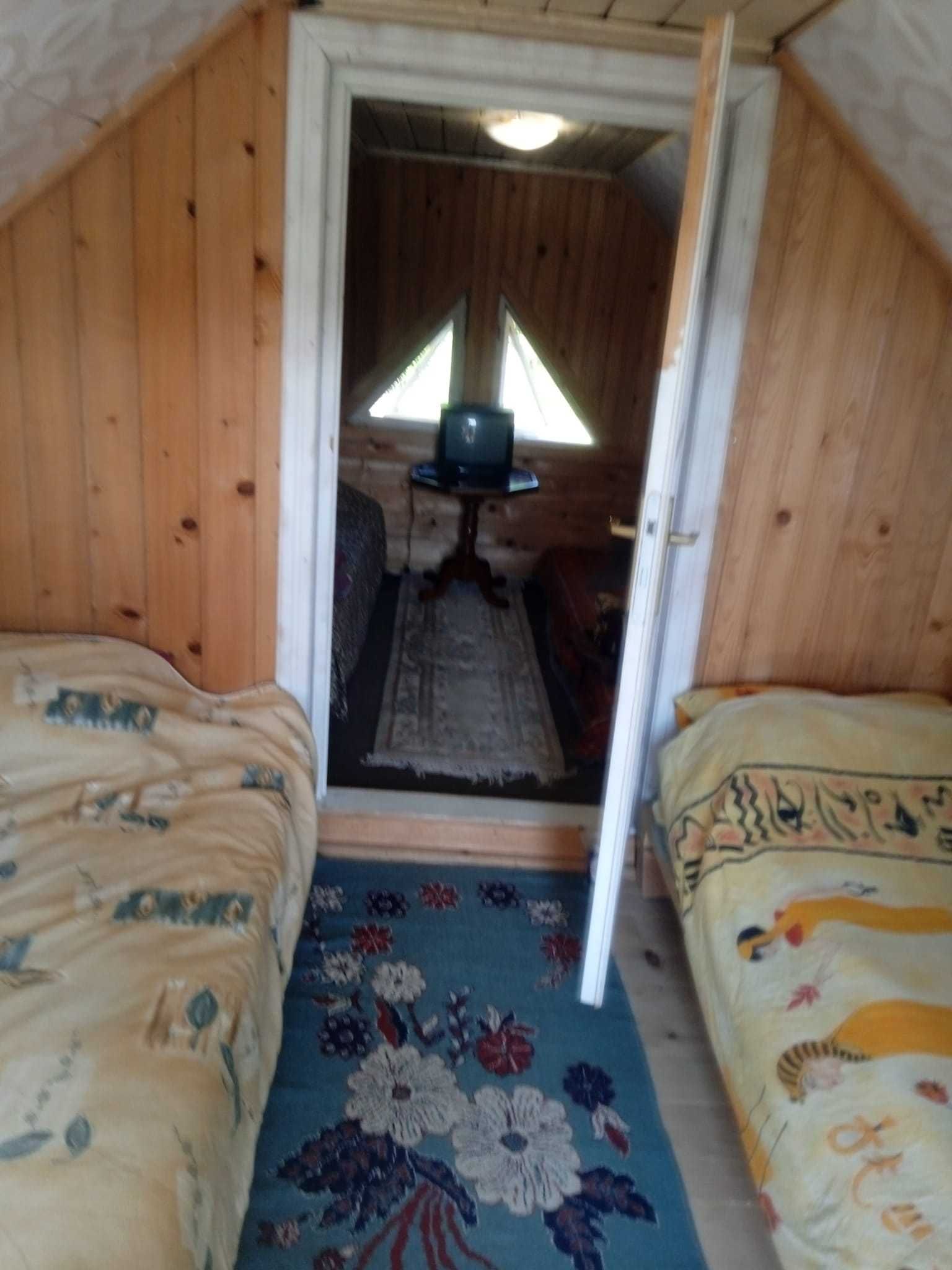 Cabana Lepsa, Vrancea, pentru cei pasionati de natura si peisaje.