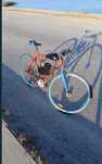 Bicicleta cu motor