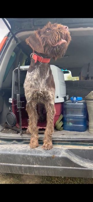 Дойч Дратхар Дратхаар