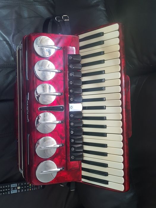 Acordeon parrot in perfecta stare de functionare