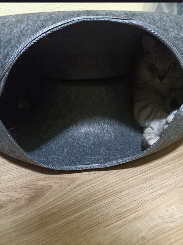 Легло за котка Ново
