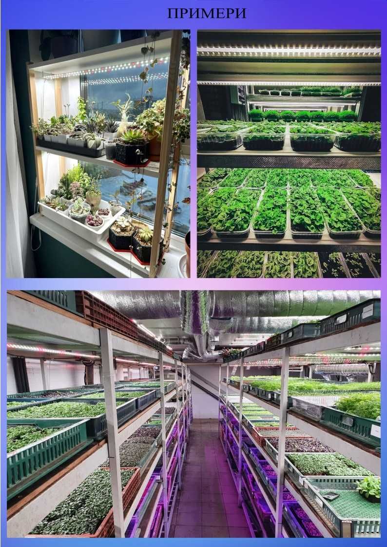 LED лампа за отглеждане на растения