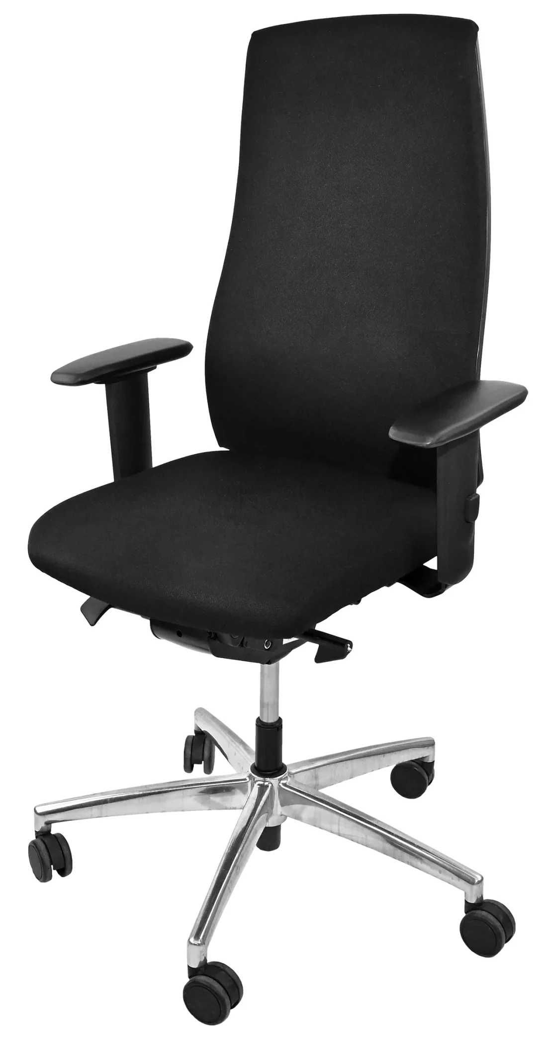 Scaun ergonomic INTESTHUL