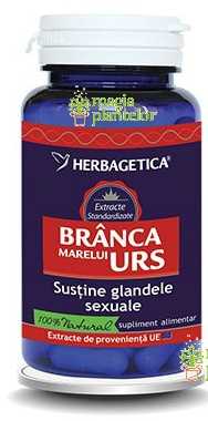 Branca marelui urs 60 CPS - Herbagetica