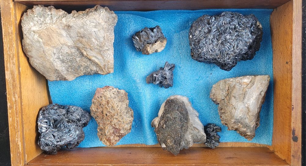 Flori de mină de vânzare