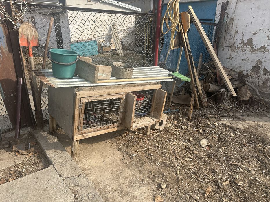Продам кролятники