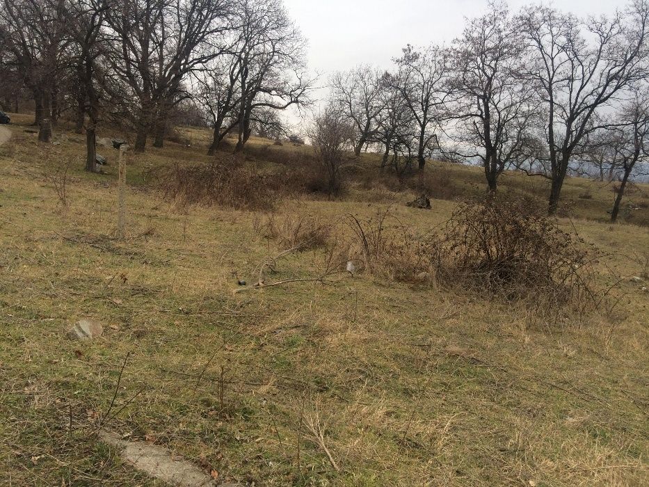 Продава се Парцел в Карлово - 1750 кв.м за 40 €/кв.м - Снимка #3