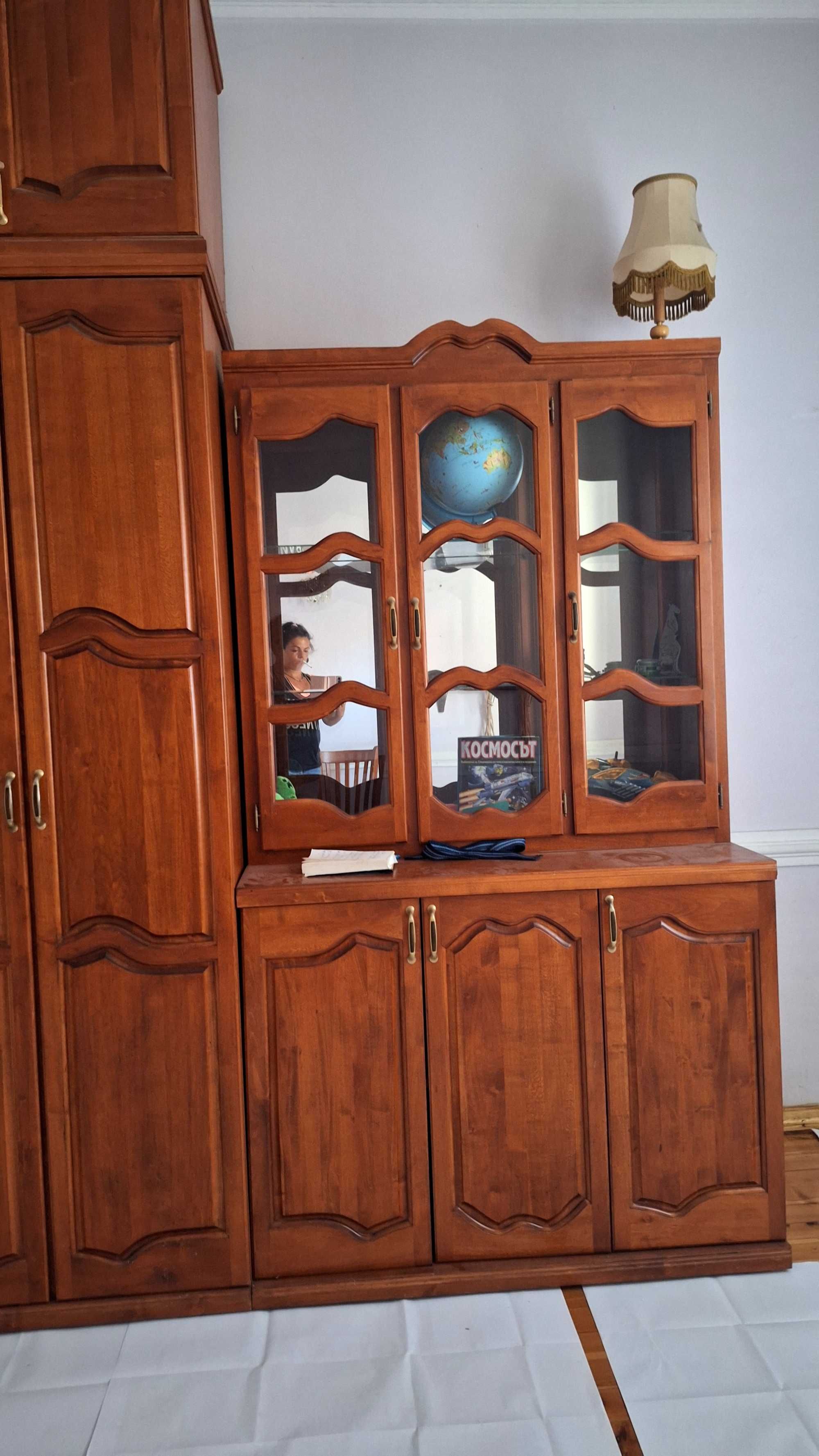 Масивна холна секция