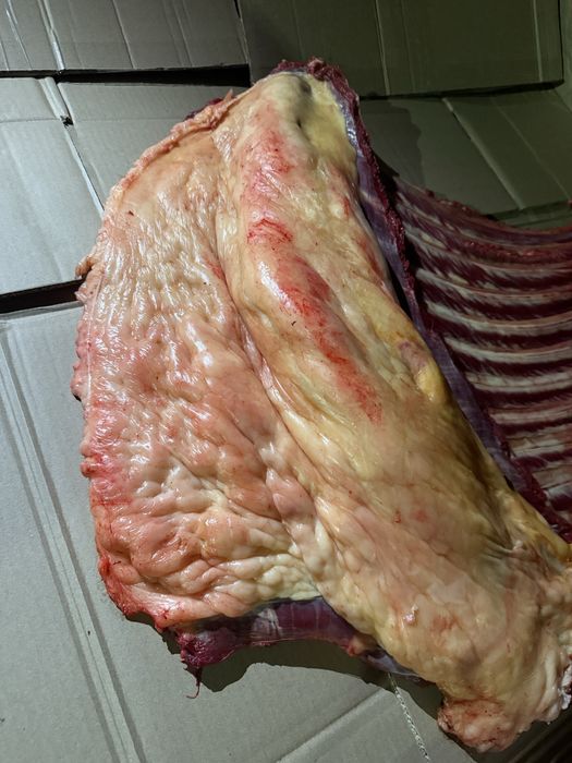 байтал биелер согымга семиз