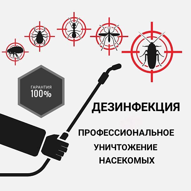 Дезинфекция / Клопы / Кандала / Тараканы / Муравьй / Насекомые