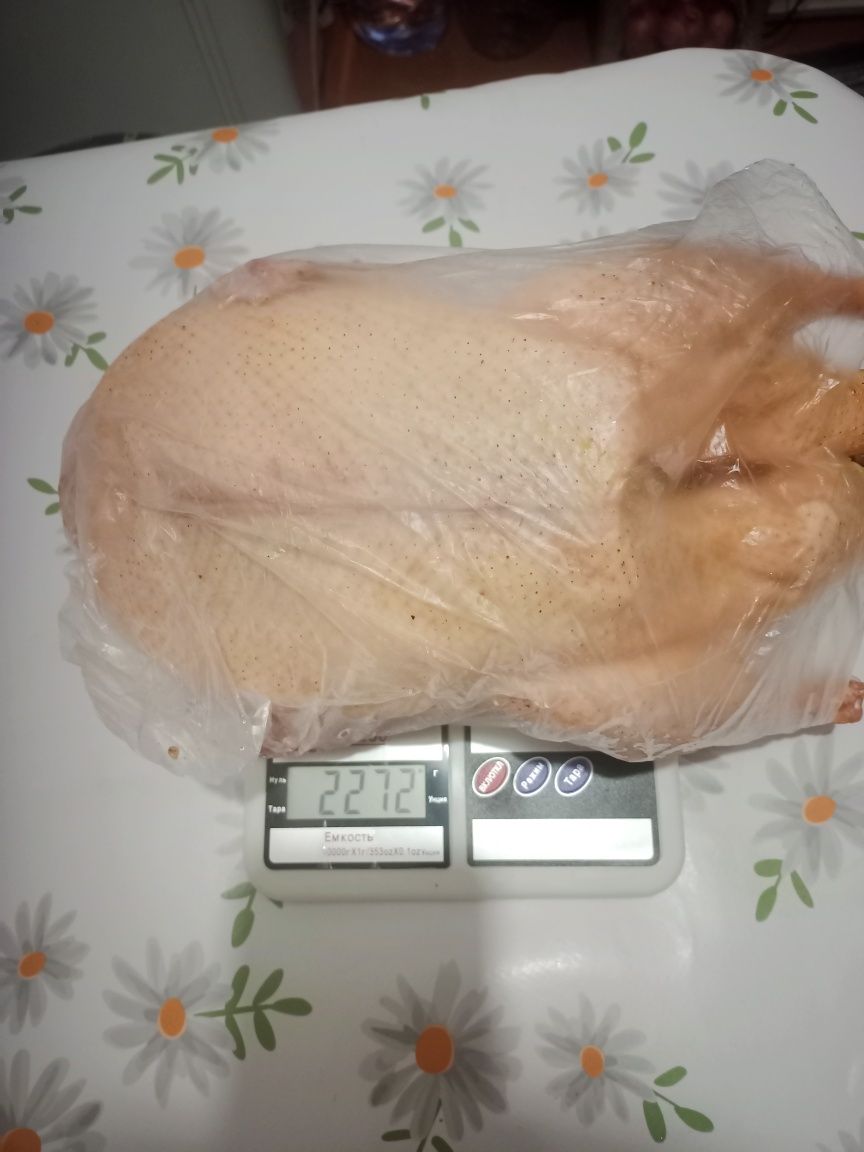 Мясо утки2025###