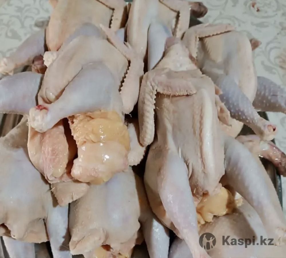 Куры живьём и мясом
