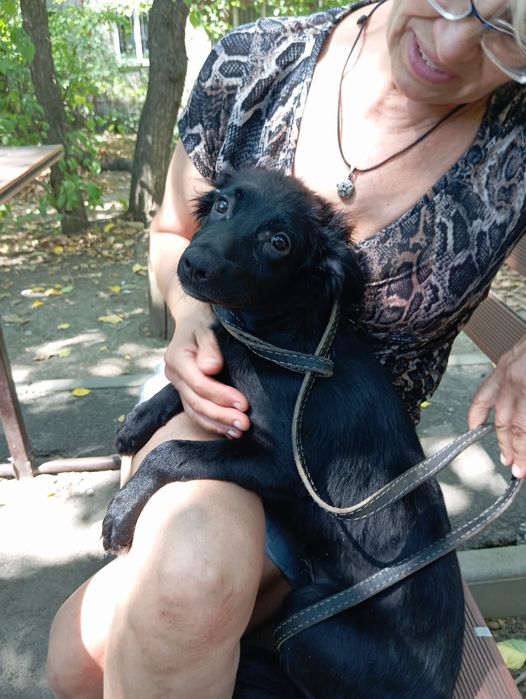 Звоночек Стерильная девочка