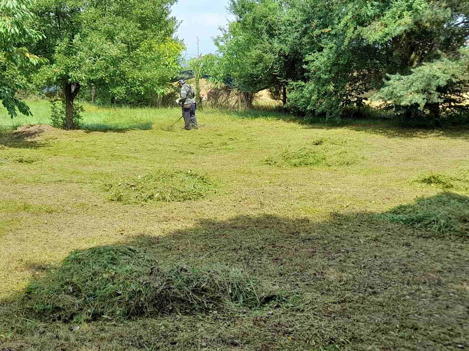 Почистване на парцели дворове Косене на трева рязане на опасни дървета