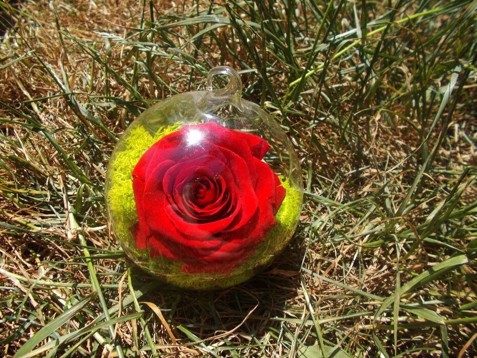 Trandafir criogenat in glob de sticla de 10 cm diametru