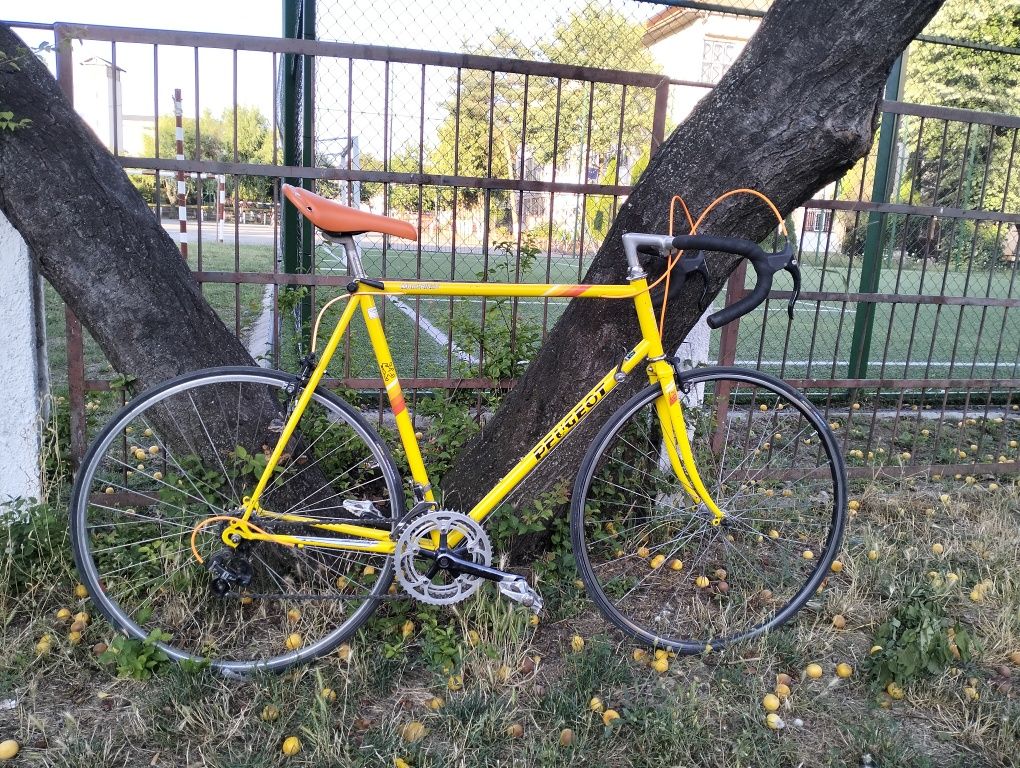 Vand sau schimb cu telefon cursiera Peugeot