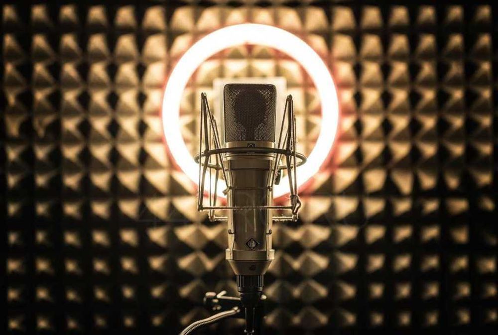 Диктор начитка озвучка аудио видео ролики Инстаграм реклама для радио