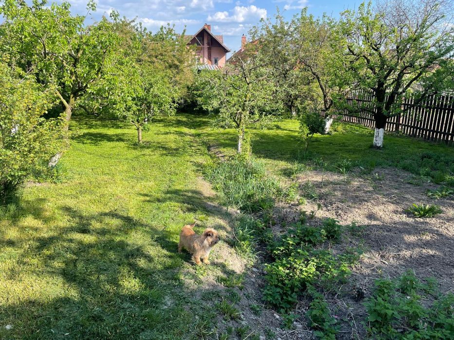 Casa de vanzare in Reghin str. Gradinarilor