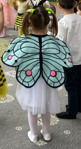 Костюм бабочки (крылья и маска)
