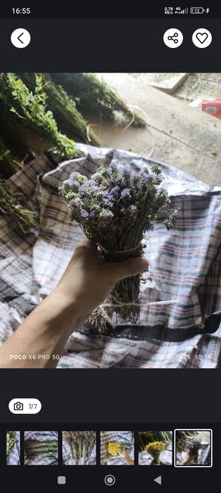 Продаются банные веники и лечебные травы