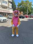 costum skye pt surprize