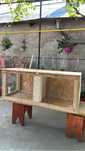 Confectionez la cerere custi iepuri