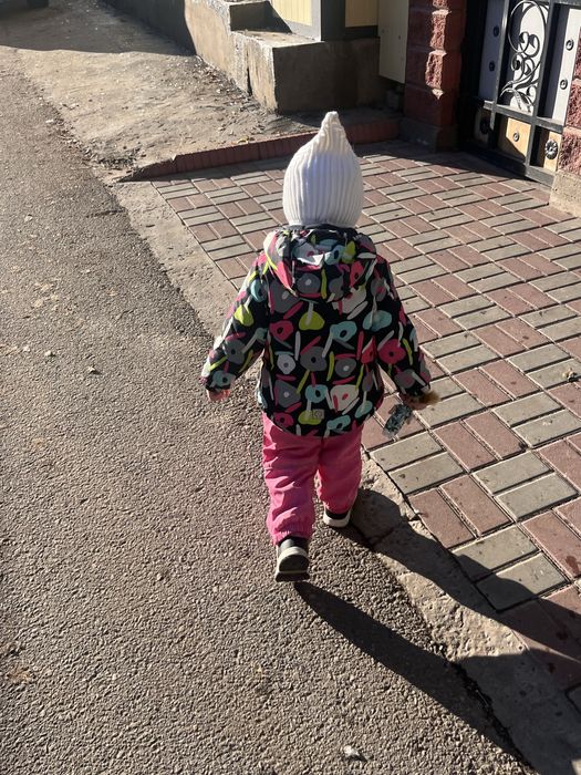 Крокид crockid зима