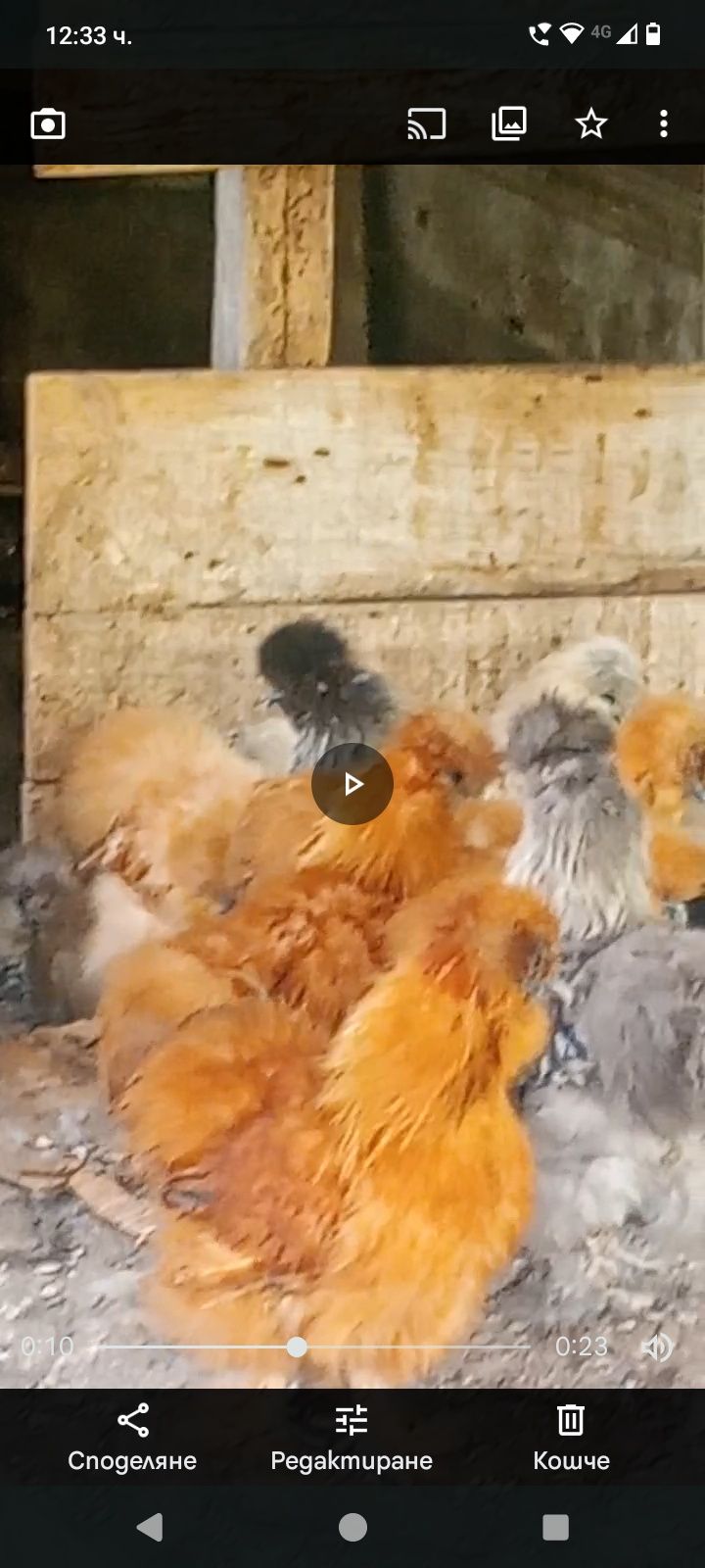 Копринки и патици.