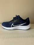 Nike pegasus 40