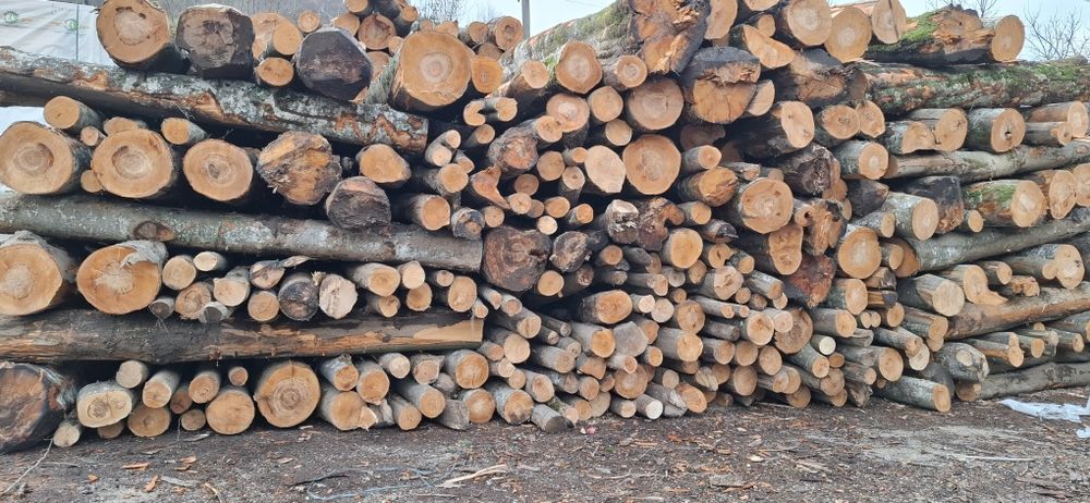 Lemne de foc (depozit cosbuc)