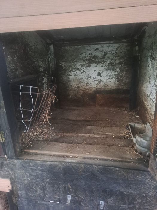 Coteț pentru iepuri