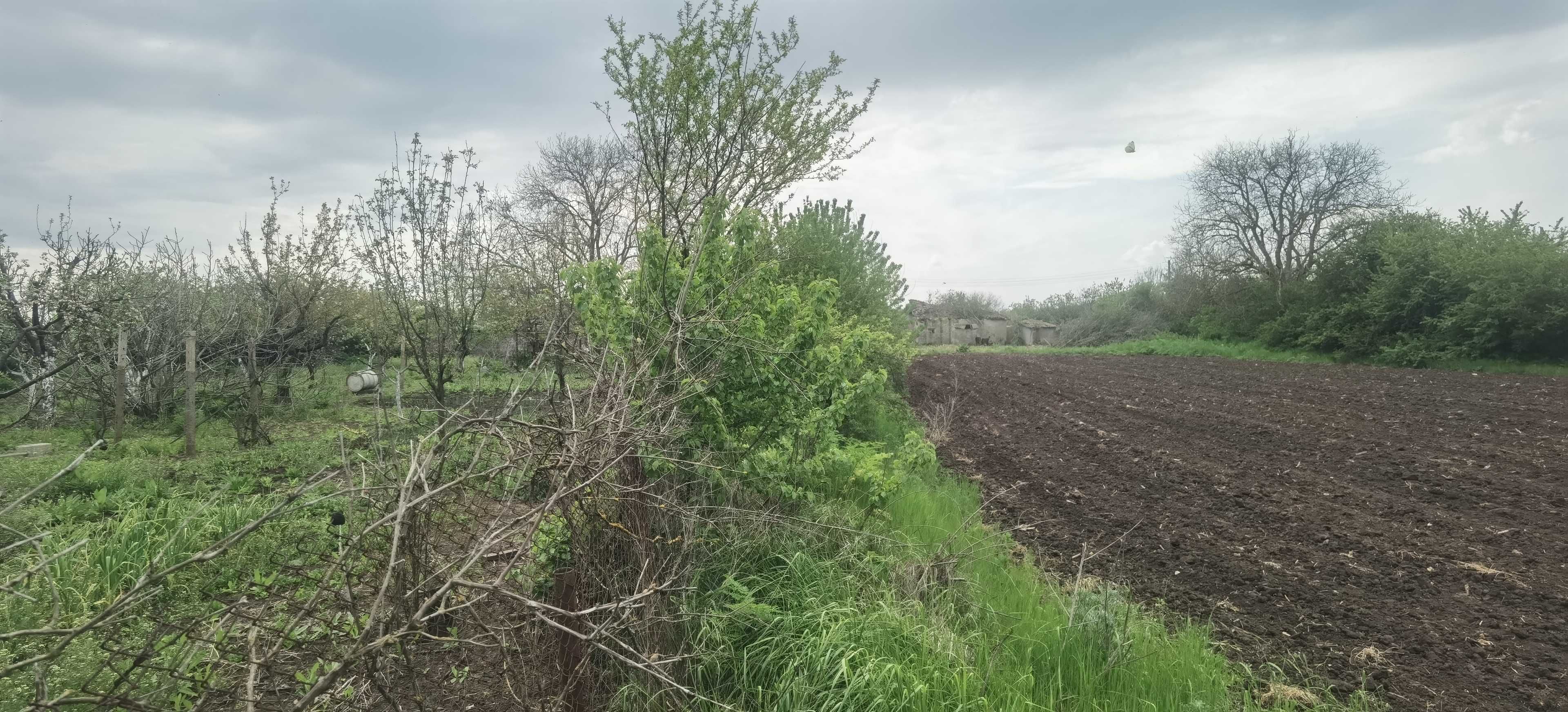 Парцел с къща в регулация в село Могилище 2718кв.м
