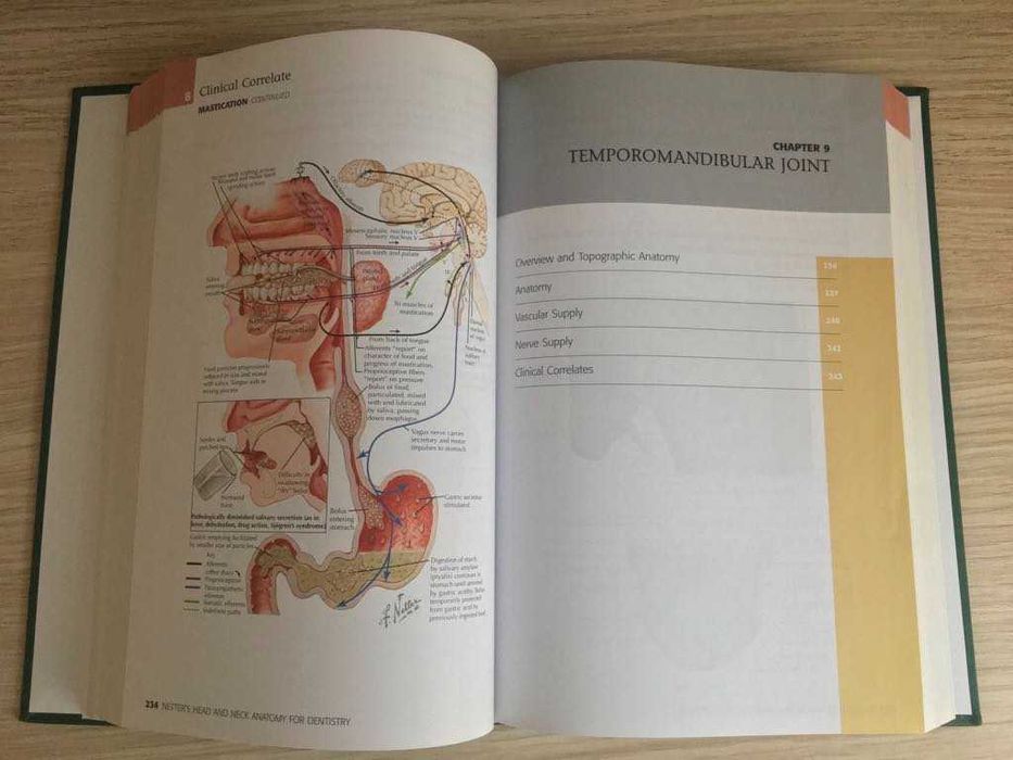Atlas de Stomatologie - Netter's Head & Neck Anatomy For Dentistry