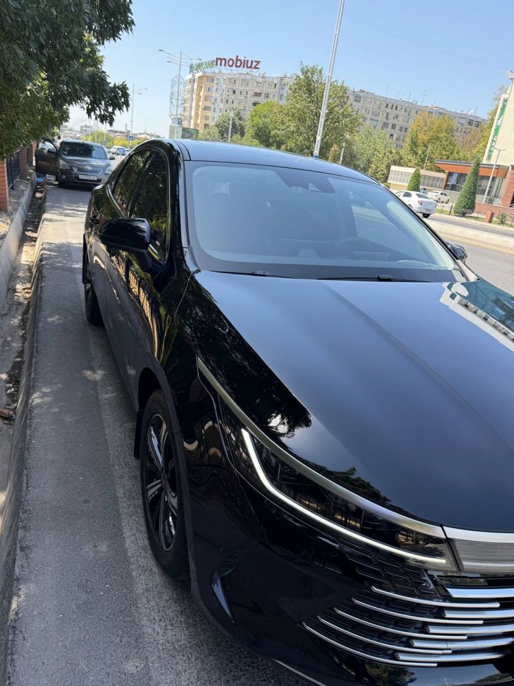 BYD Chazor Flagship 120 Full Pozitsiya 2024й
