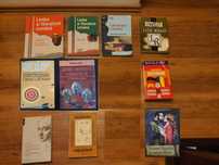 Diverse carti, manuale, dictionare, reviste